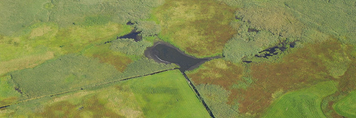 Luftbildaufnahme: Blick auf den Schwielochsee und Alte Spreemündung