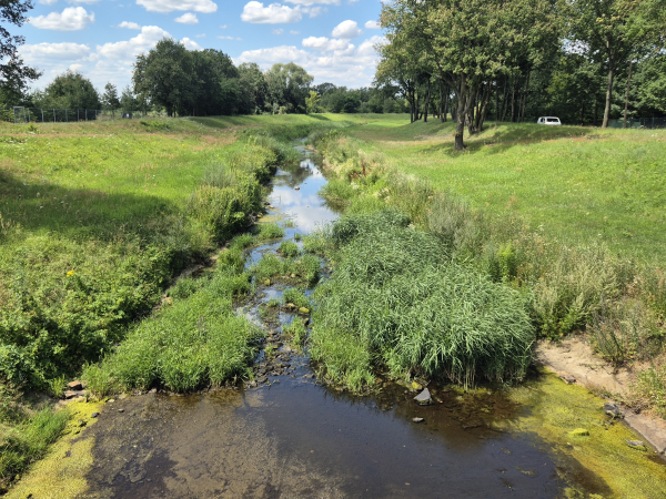 Niedrigwasser in der Schwarzen Elster